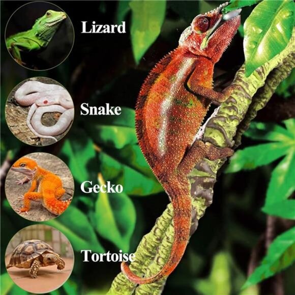 Reptile Vines, Flexible Jungle Climbing Vines Terrarium Plastic Plants and Leave - Picture 7 of 8